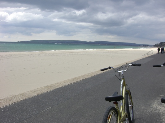 f0227137_52179.jpg