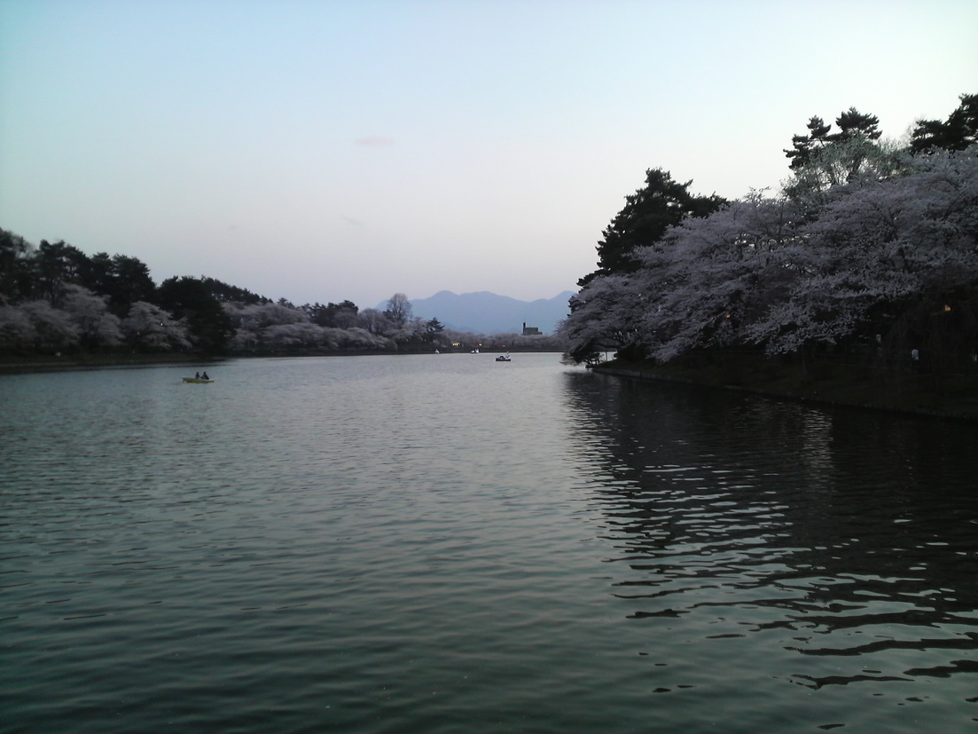 昨夜は高松の池に行きました_d0156438_1031339.jpg