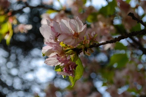 a0048040_21291298.jpg