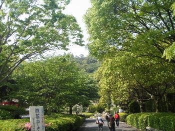 a0054240_20415099.jpg
