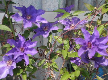 a0054240_21172232.jpg