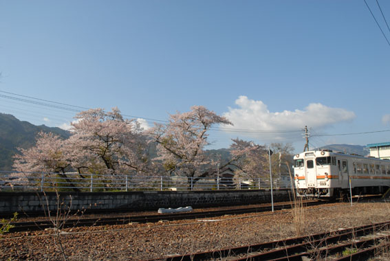 b0087840_174692.jpg
