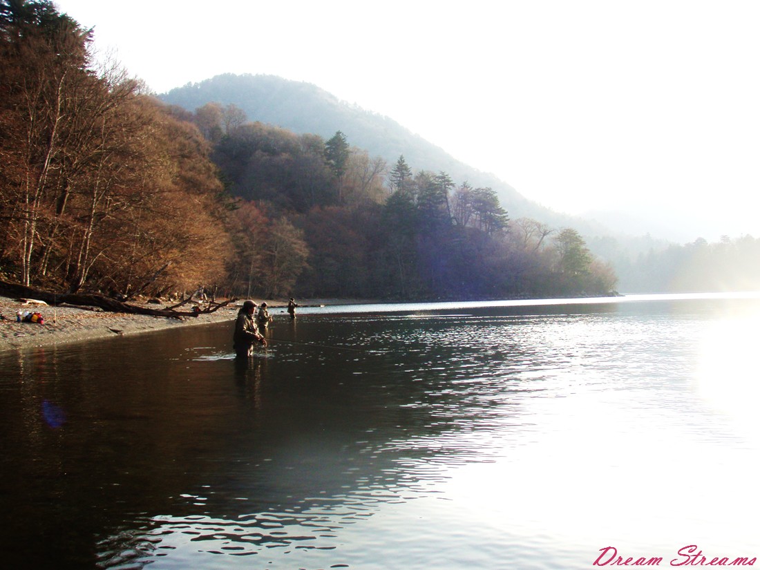 中禅寺湖の鱒_b0072541_2313131.jpg