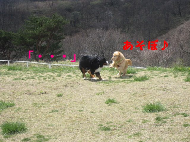 a0108146_17343039.jpg