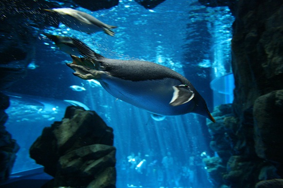 d0084146_22565167.jpg