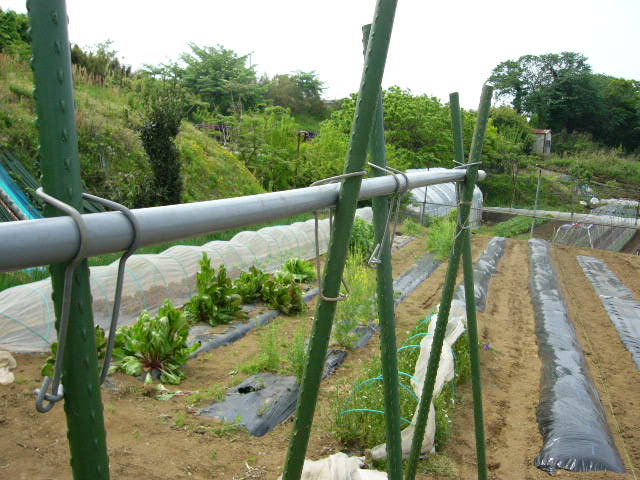 c0222448_14503955.jpg