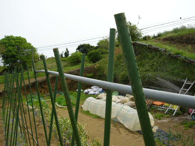 c0222448_14505036.jpg