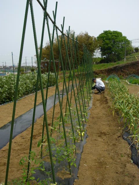 c0222448_14505686.jpg