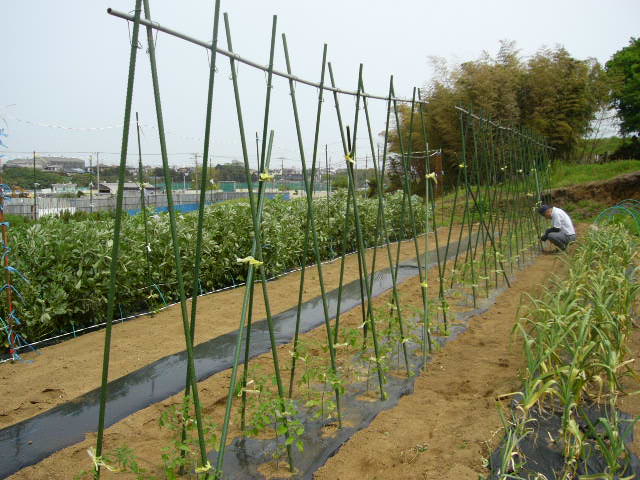 c0222448_14511394.jpg
