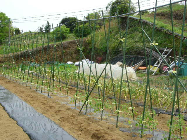 c0222448_14512862.jpg