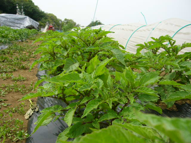 c0222448_14514235.jpg