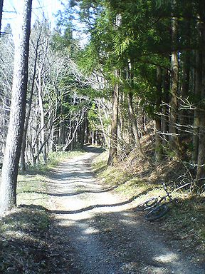 a0096557_71658.jpg
