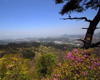 e0035757_1912065.jpg