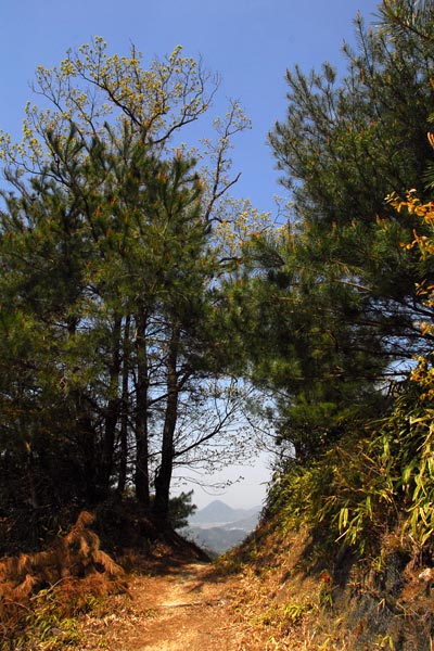 e0035757_19228.jpg