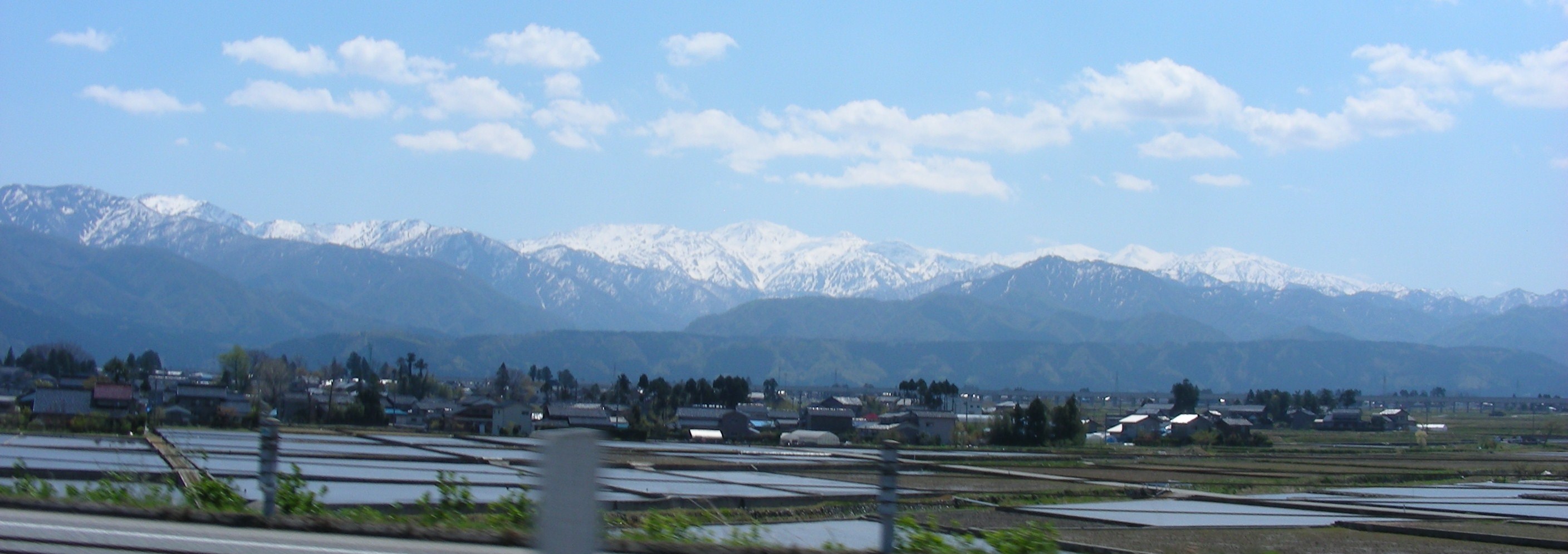 e0044657_1772954.jpg