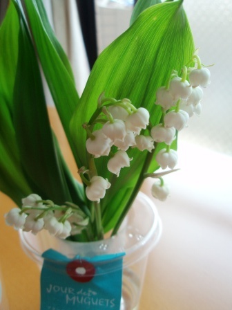 今週のお花。_c0119259_1043401.jpg