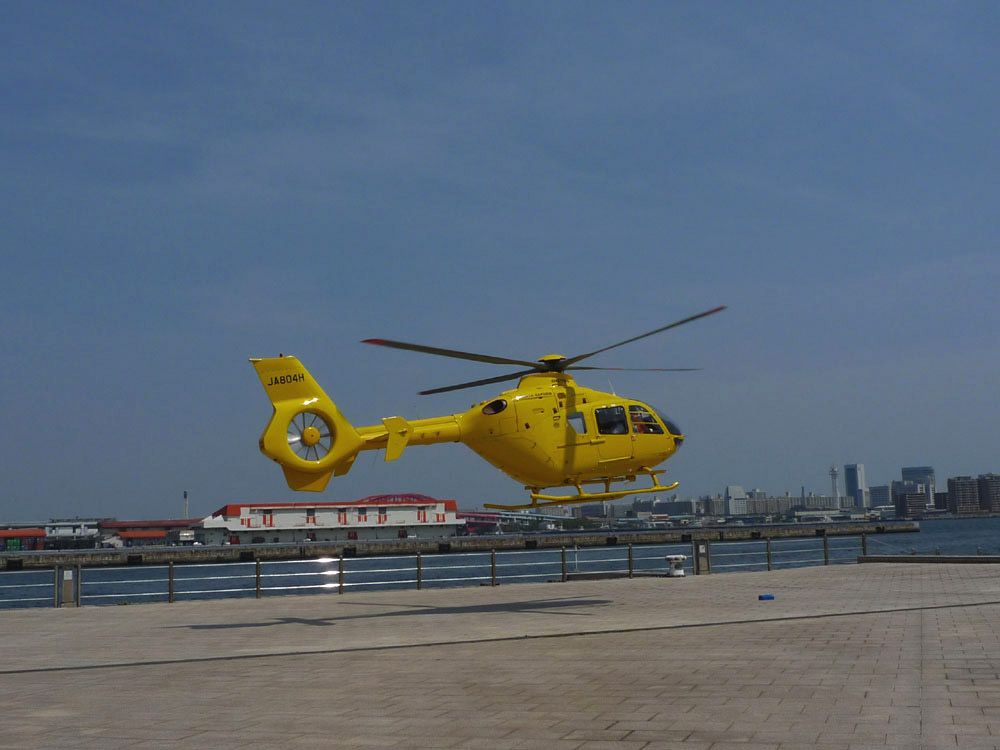 d0106559_1082370.jpg