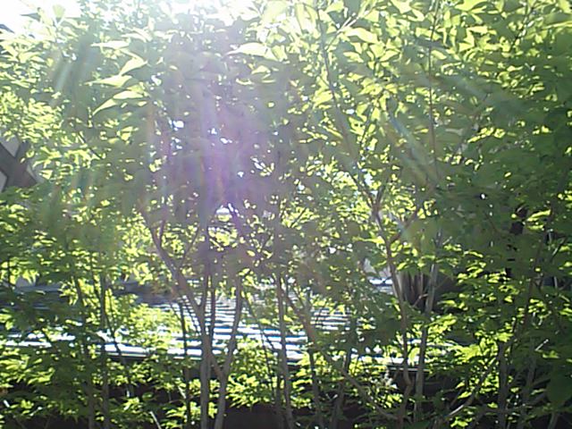 d0150060_23501014.jpg