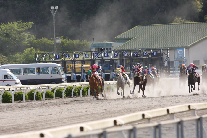 2010年5月1日（土） 高知競馬 1R 海のまつたけ特別 C2-2 レース_a0077663_14142661.jpg