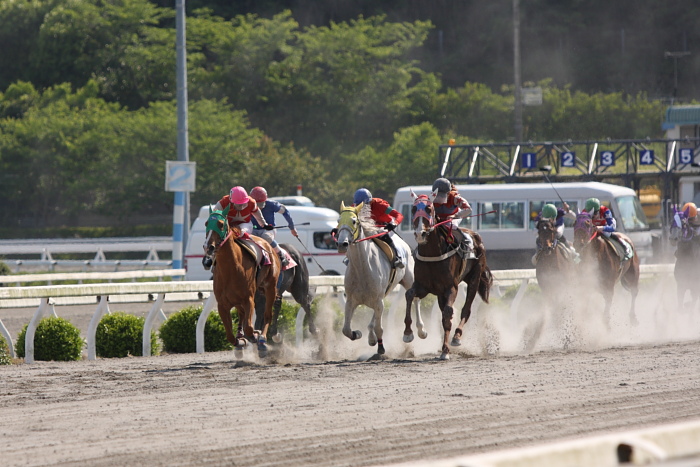 2010年5月1日（土） 高知競馬 1R 海のまつたけ特別 C2-2 レース_a0077663_14143471.jpg