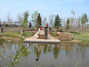 f0139963_23324953.jpg