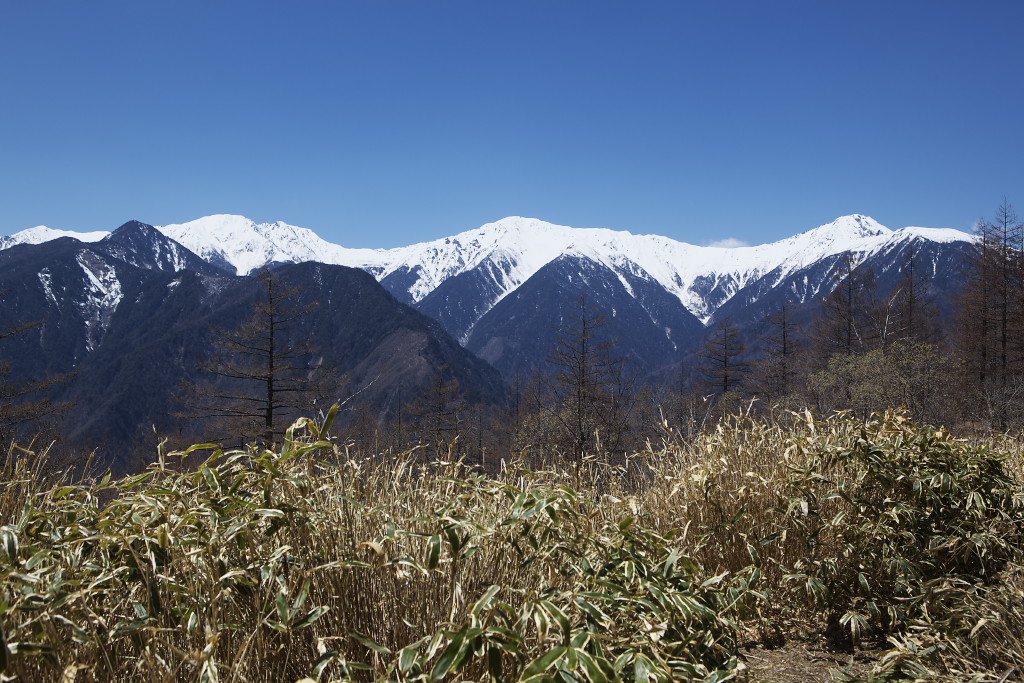 f0171065_022949.jpg