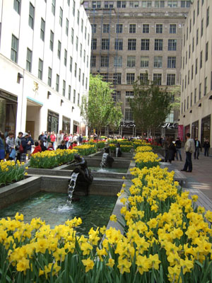 f0185066_2381827.jpg