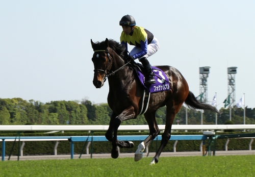 第141回天皇賞(春) ジャガーメイル見事な差しきりル : Turfに 第141回天皇賞(春) ジャガーメイル見事な差しきりル : Turfに