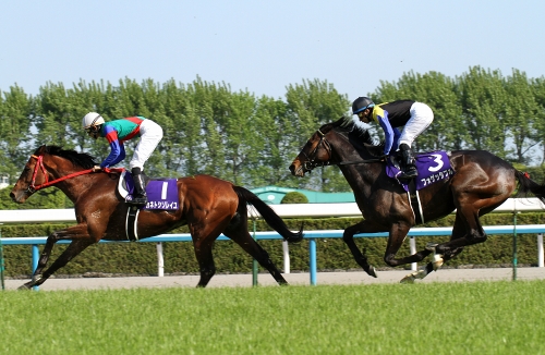 第141回天皇賞(春) ジャガーメイル見事な差しきりル : Turfに 第141回天皇賞(春) ジャガーメイル見事な差しきりル : Turfに