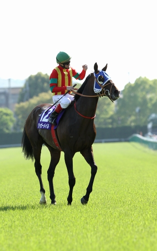 第141回天皇賞(春) ジャガーメイル見事な差しきりル : Turfに 第141回天皇賞(春) ジャガーメイル見事な差しきりル : Turfに