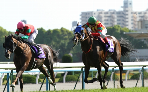 ゼッケンレプリカ【有馬記念】 | カテゴリー一覧,ゼッケン