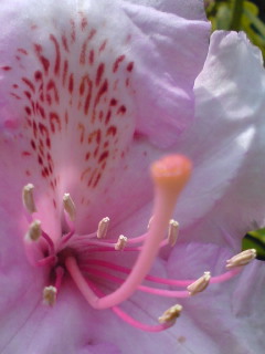 b0081270_10155485.jpg