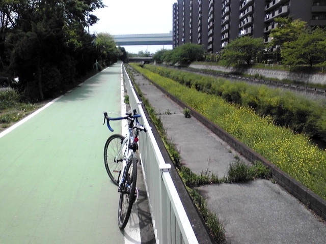 f0036670_1984189.jpg