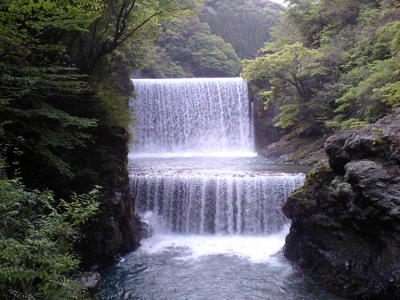 万江川探検隊・ファーストディセント狙い_f0230770_2274141.jpg