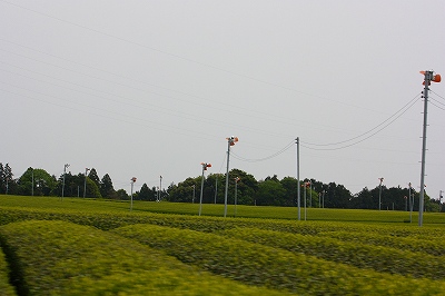 a0147174_2353751.jpg