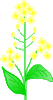 c0221884_164621.gif