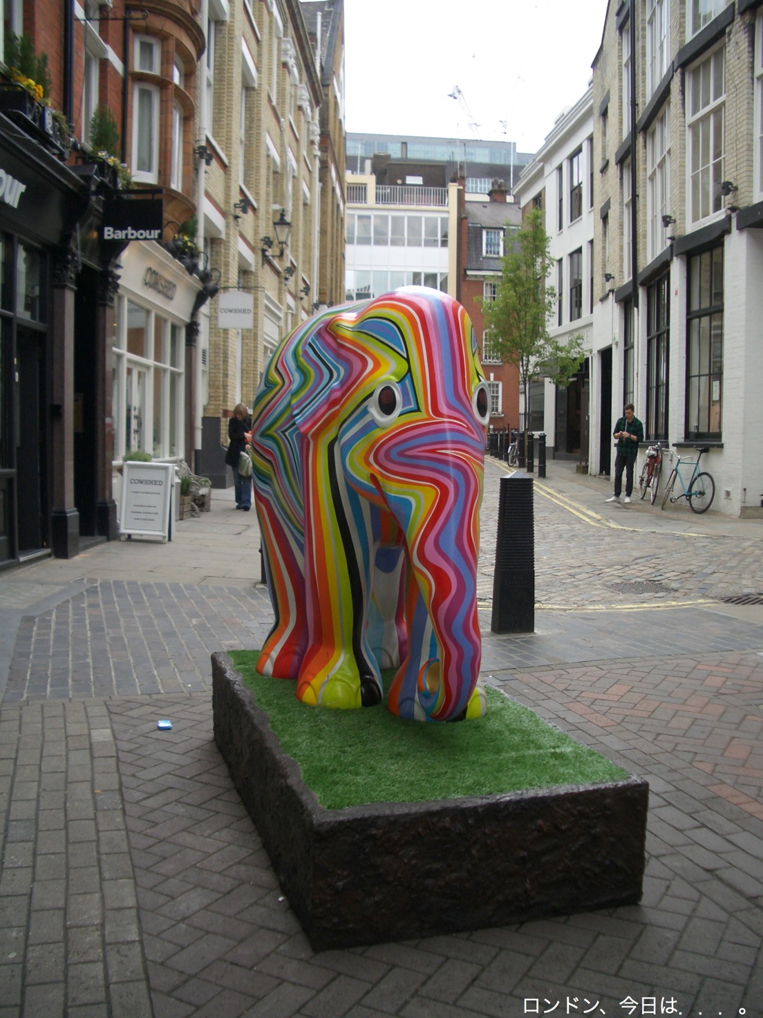 a0137487_4354248.jpg