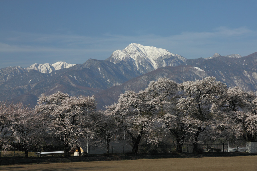 10.04.18：同僚と行く小淵沢～韮崎、桜、桃、そして甲斐駒２_c0007190_1955039.jpg