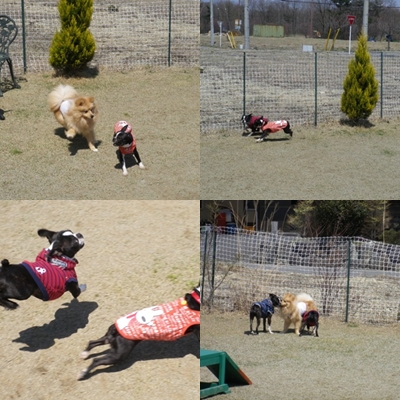 c0189890_2375683.jpg