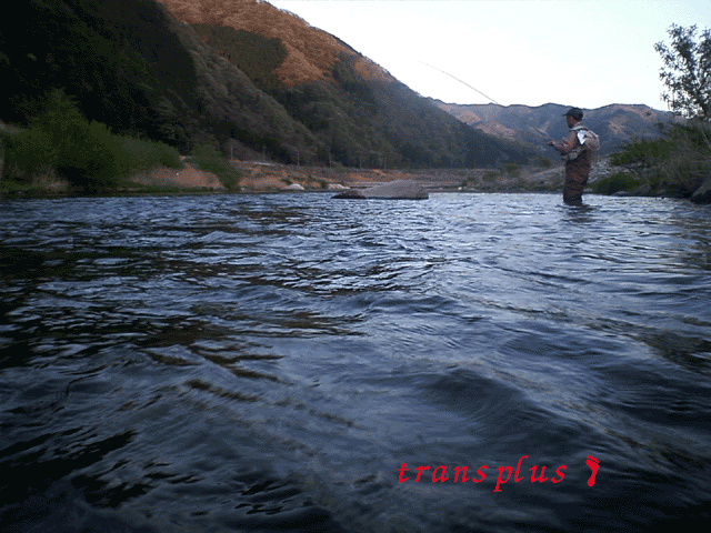 b0031493_1252630.gif