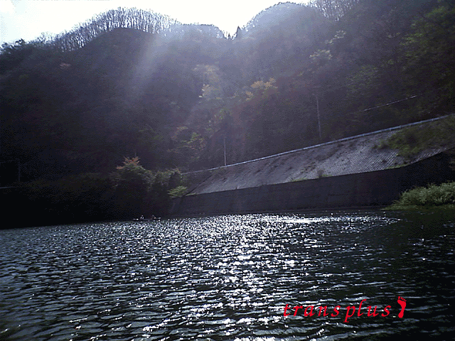 b0031493_1314290.gif