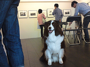 f0130693_23161536.jpg