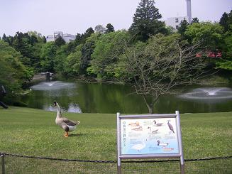 a0159795_8103819.jpg
