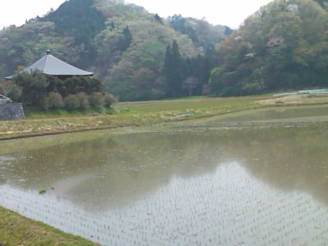 e0068696_17493046.jpg