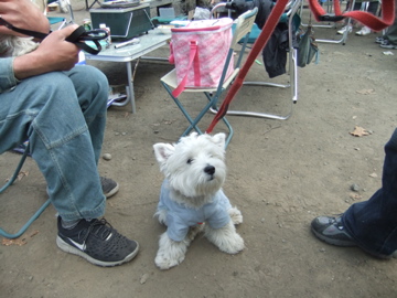 もなみ公園inウエスティー BBQ!!_c0226202_23564766.jpg
