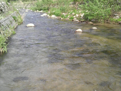 f0082402_19312525.jpg
