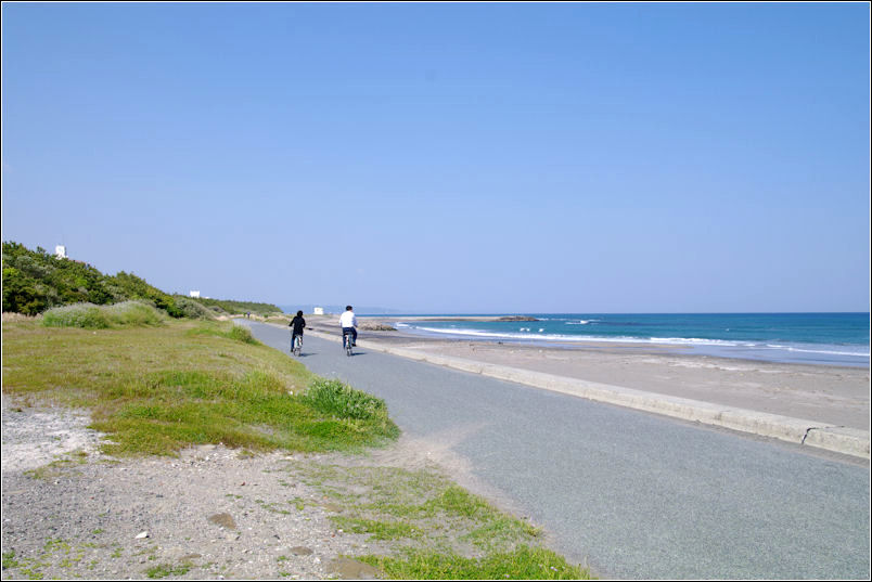 花越しに見た千葉県　File.11<千倉町＞_b0120903_2343043.jpg