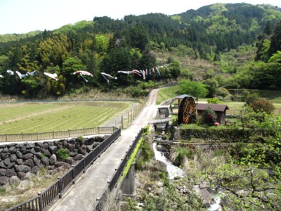 c0036203_1828624.jpg