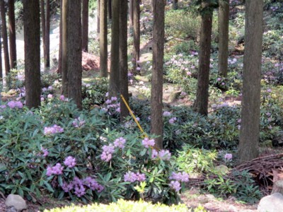 c0036203_18564315.jpg