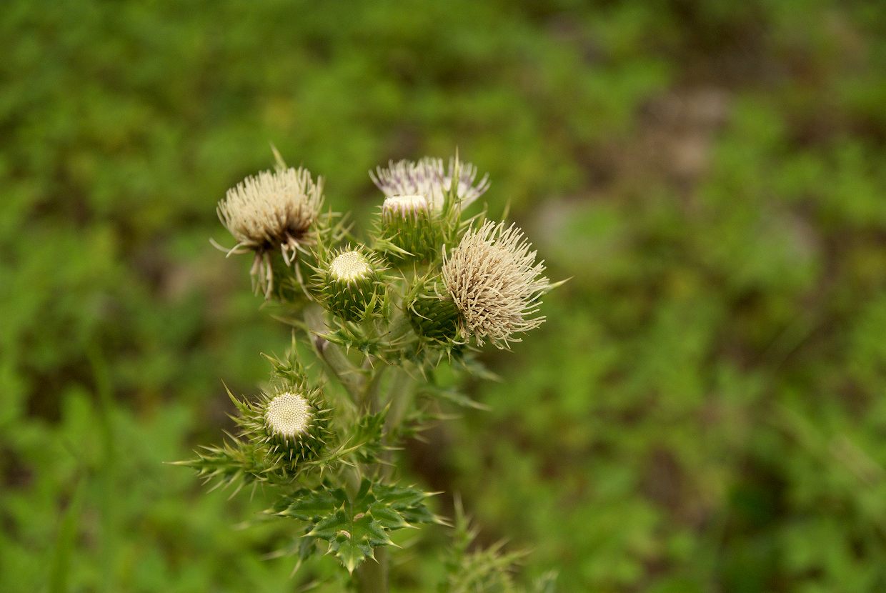 b0174905_6475818.jpg